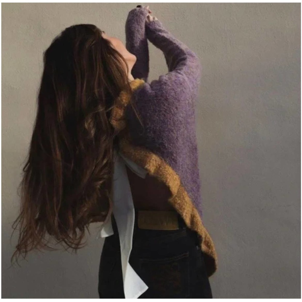 Zara Purple and Brown Crew Neck Sweater